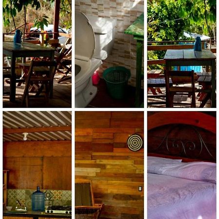 La Casa Del Nenufar Otel Oaxaca Dış mekan fotoğraf