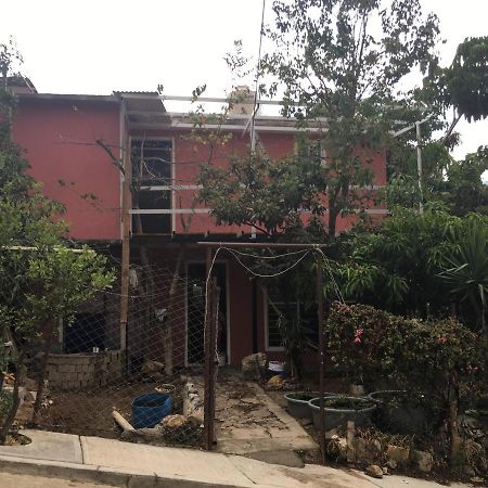 La Casa Del Nenufar Otel Oaxaca Dış mekan fotoğraf