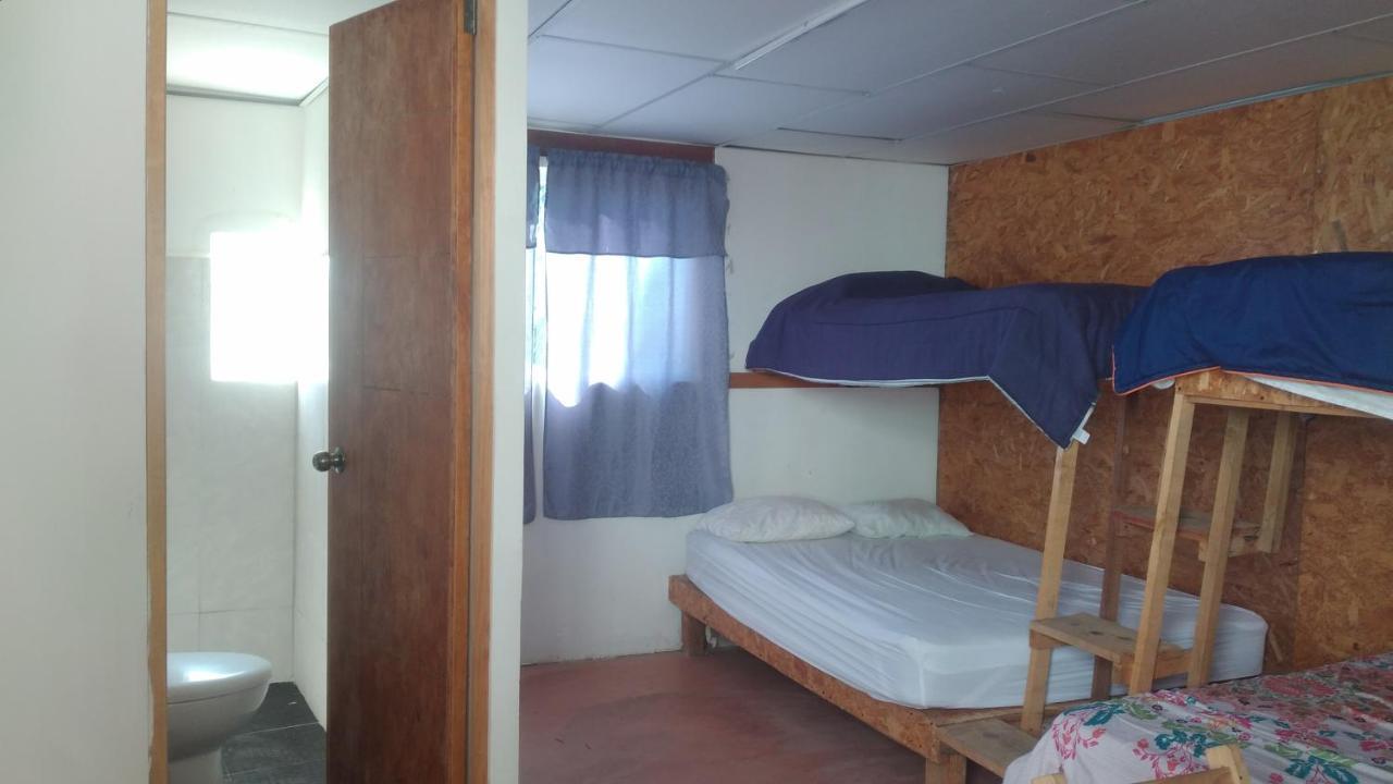 La Casa Del Nenufar Otel Oaxaca Dış mekan fotoğraf