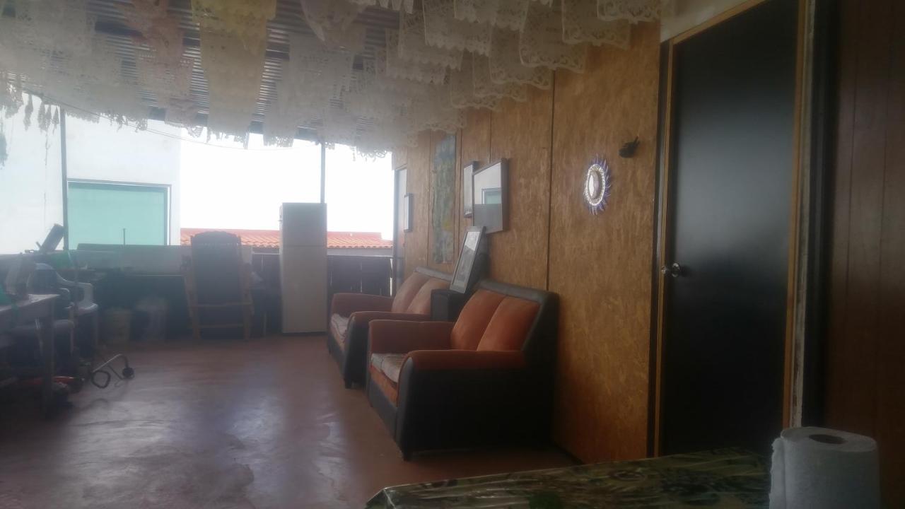 La Casa Del Nenufar Otel Oaxaca Dış mekan fotoğraf
