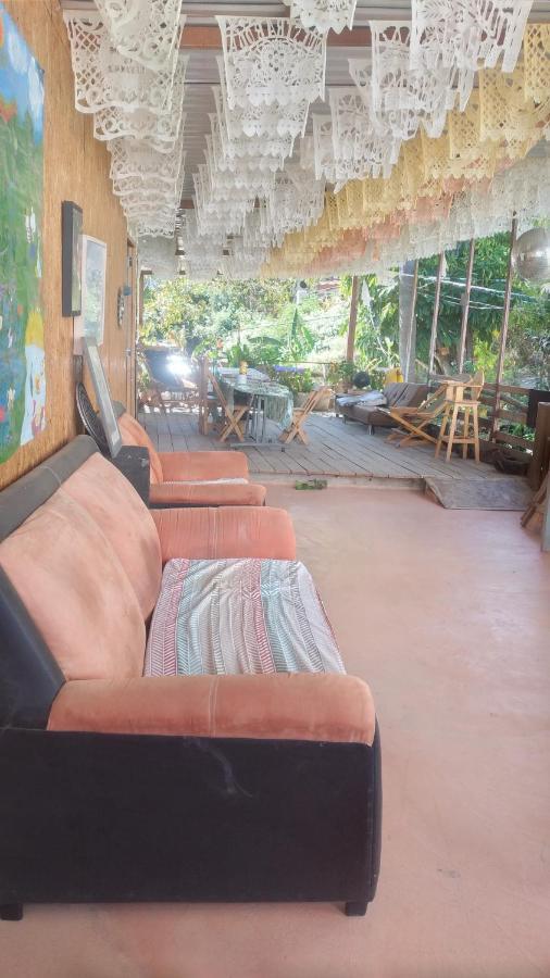 La Casa Del Nenufar Otel Oaxaca Dış mekan fotoğraf