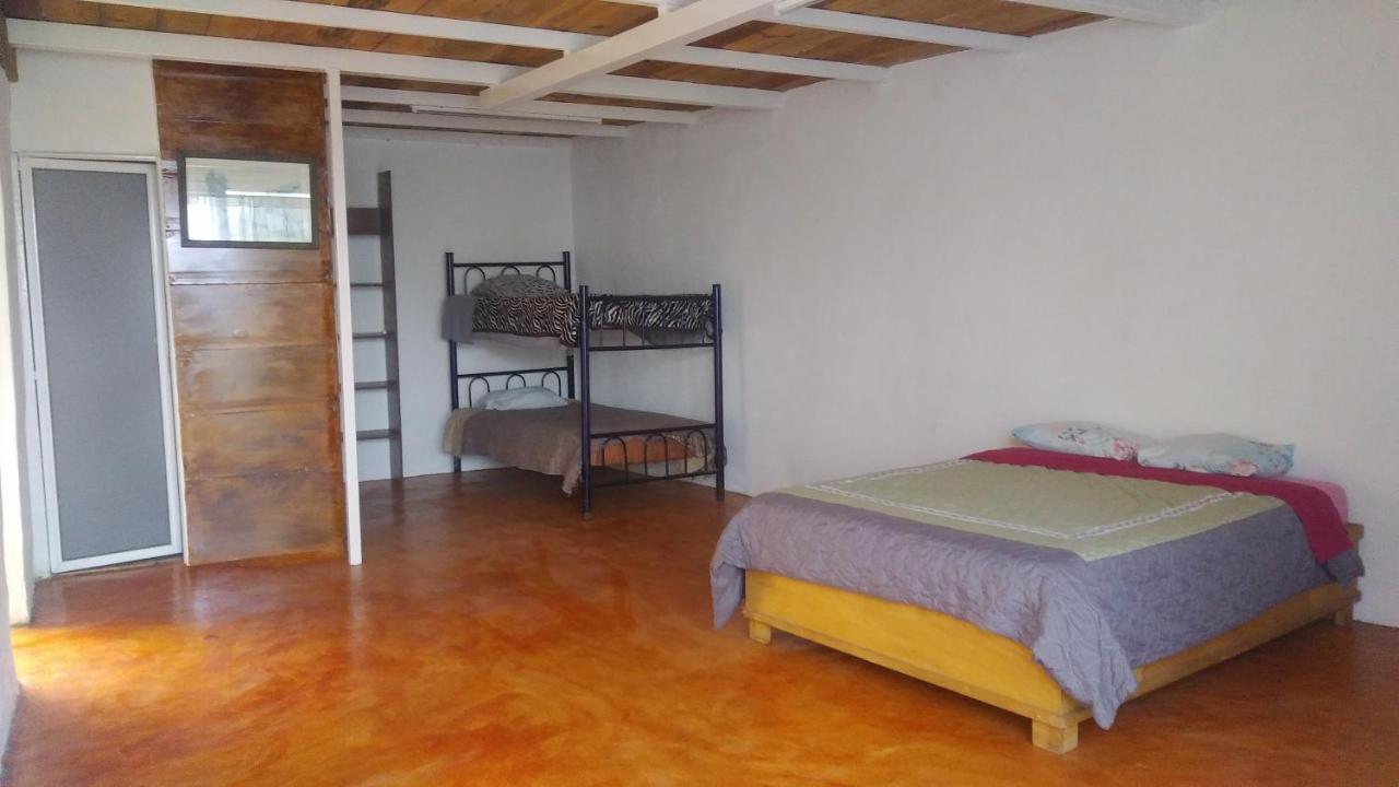 La Casa Del Nenufar Otel Oaxaca Dış mekan fotoğraf