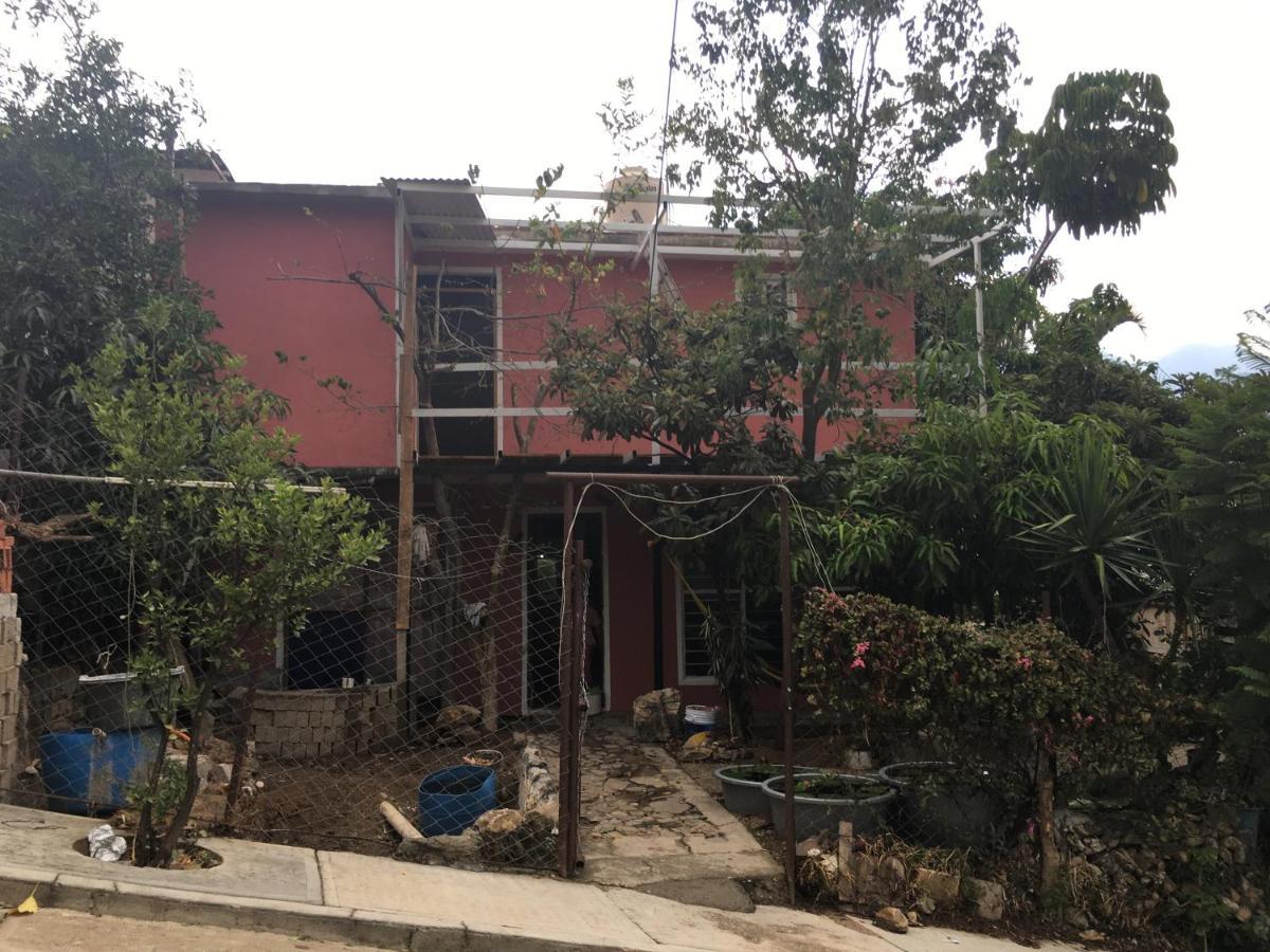 La Casa Del Nenufar Otel Oaxaca Dış mekan fotoğraf