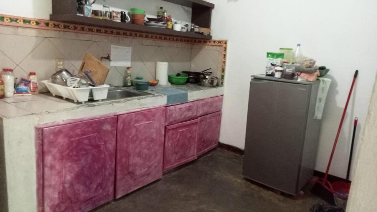 La Casa Del Nenufar Otel Oaxaca Dış mekan fotoğraf